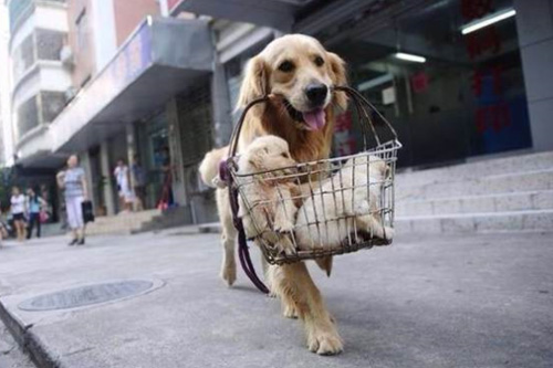 �������˵�ͼƬ���£���һĻ�ҿ��ˣ�