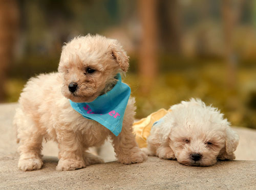 ������Ȯ�۸񡿱���Ȯ����Ǯ|����Ȯ�����м�Ǯ����