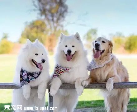 һֻ��ë����ĦҮ������ˣ���Ȼ����΢Ц��.....
