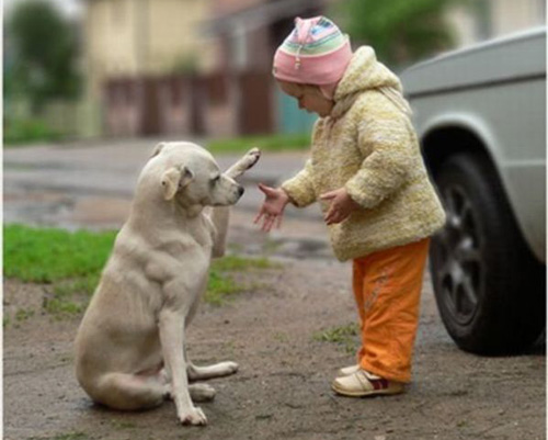 ������ѵ��һ��ѵ�����ﹷ�������¡��ķ���