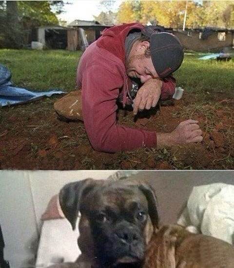 �������˵�ͼƬ���£���һĻ�ҿ��ˣ�
