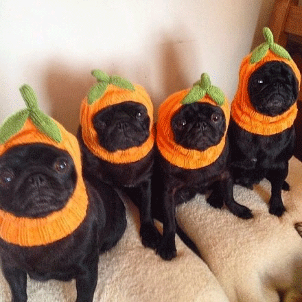 ���͸�ȮͼƬ�����ȳ��ȵİ͸�