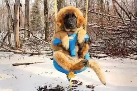 �����˵���ǧ����ô�� �����λ��������