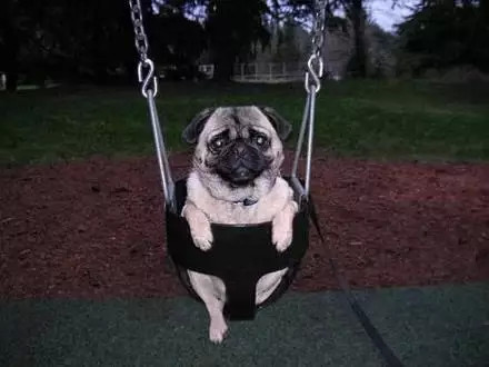 �����˵���ǧ����ô�� �����λ��������