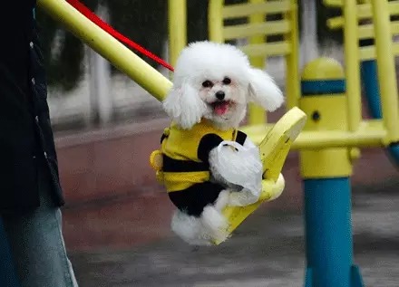 �����˵���ǧ����ô�� �����λ��������