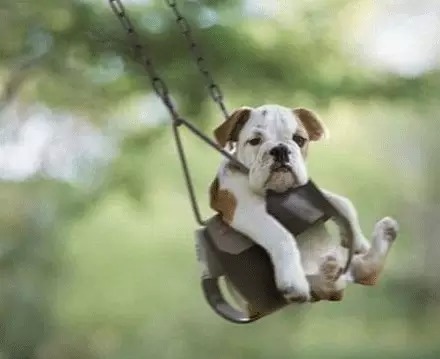 �����˵���ǧ����ô�� �����λ��������