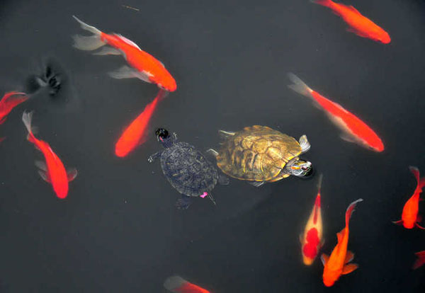 ������ͼƬ�������Ϸ��С�ڹ�