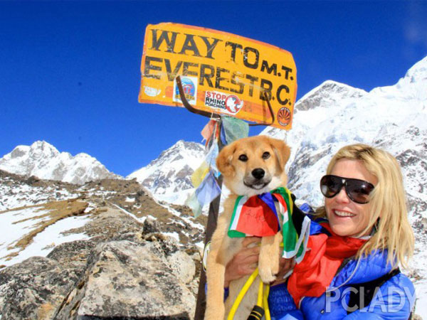 ���������˹� ����ֻ�������Ĺ���