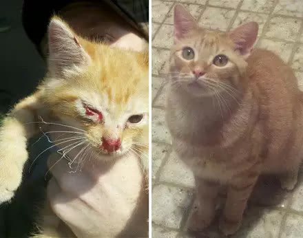 ������������è��ǰ��Աȣ�Ը���������Դ���