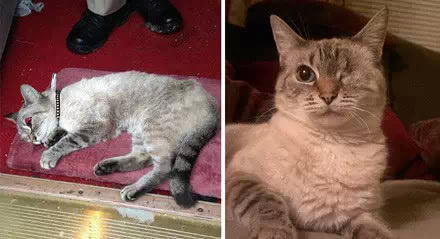 ������������è��ǰ��Աȣ�Ը���������Դ���