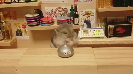 �ձ�������ݳ�����