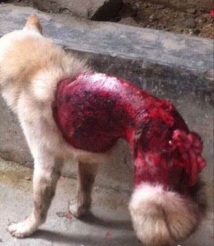 ��ɢ���ϳ�Ű���ߣ�