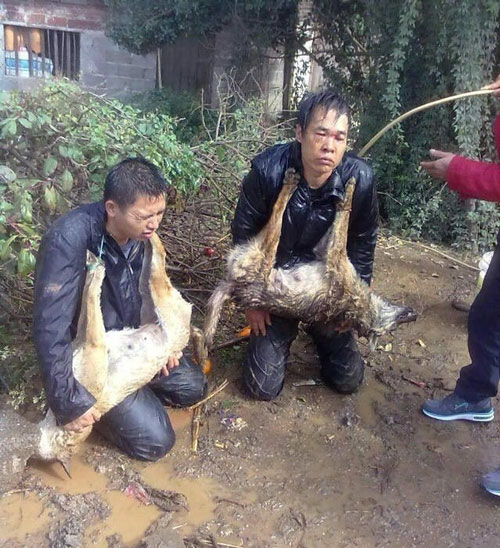 ͵���������ֺ���³���������