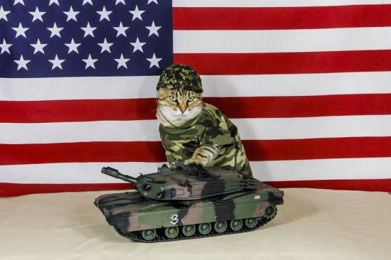 The-Best-Dressed-Cat-On-The-Internet3__880