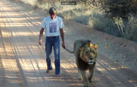 �����үү11��Ĵ�ʨ��Zion