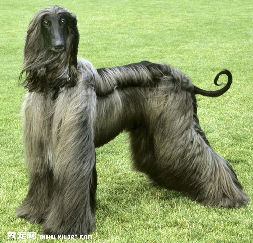 ��������Ȯ��ѡ������