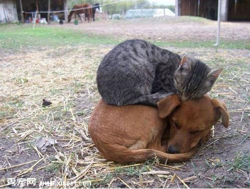 �Ȼ����ĵİ�����ů