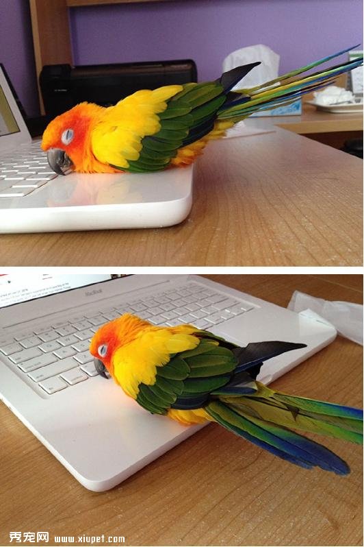�Ȼ����ĵİ�����ů