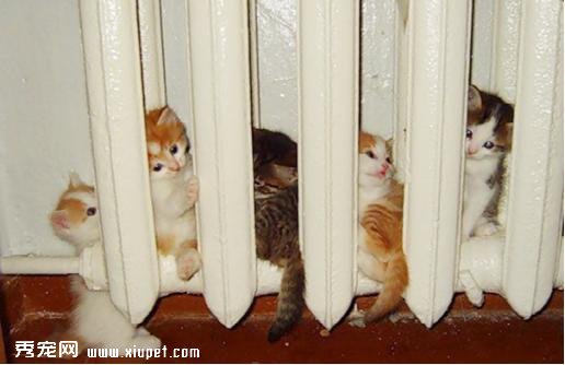 �Ȼ����ĵİ�����ů