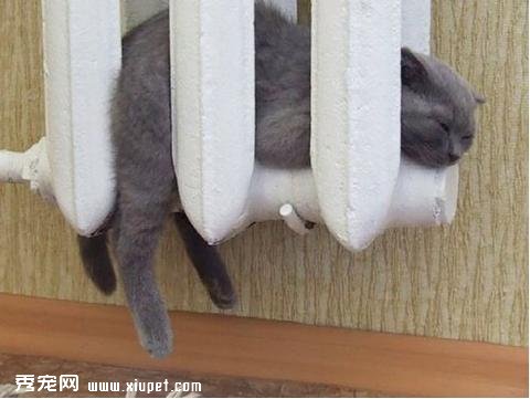 �Ȼ����ĵİ�����ů