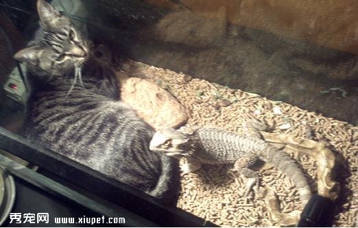 �Ȼ����ĵİ�����ů