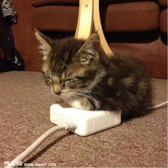 �Ȼ����ĵİ�����ů