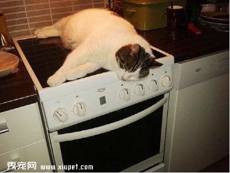 �Ȼ����ĵİ�����ů
