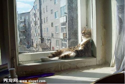 �Ȼ����ĵİ�����ů