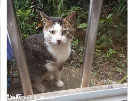 ����Բ����ң����벻Ҫ�˺���... 