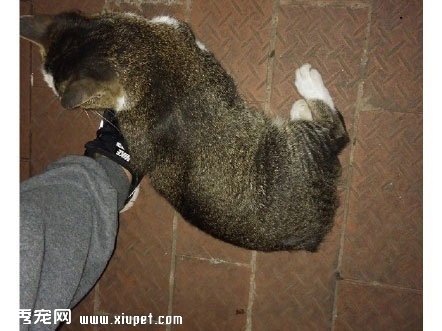 ����Բ����ң����벻Ҫ�˺���... 