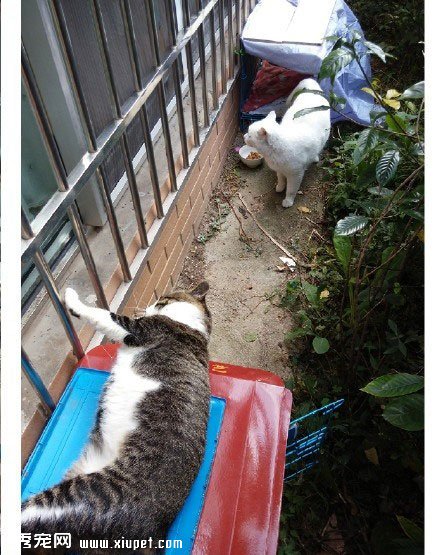 ����Բ����ң����벻Ҫ�˺���... 