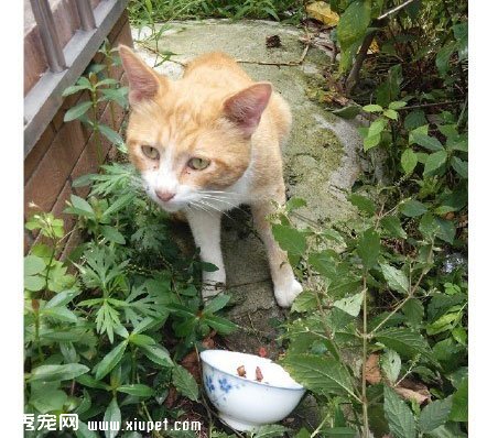 ����Բ����ң����벻Ҫ�˺���... 