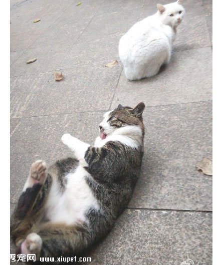 ����Բ����ң����벻Ҫ�˺���... 