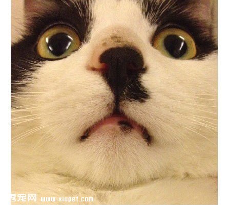 ����Բ����ң����벻Ҫ�˺���... 