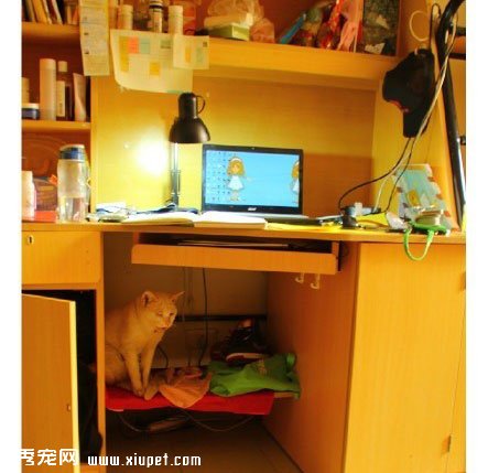 ����Բ����ң����벻Ҫ�˺���... 