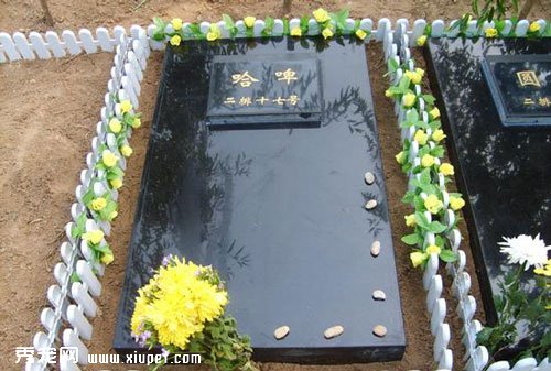 ������Ĺ�ء����ܳ���Ĺ���ϵ��˺ͳ���֮��