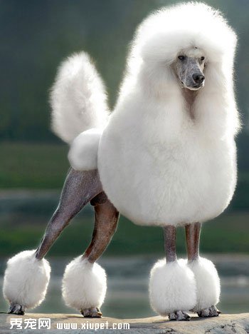 ���Ȯ�����ݻ���������ȫ