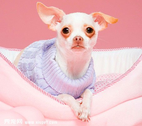 ѵ��ʱ����Ӧ�ö�����ʩż�����´����ֶ�