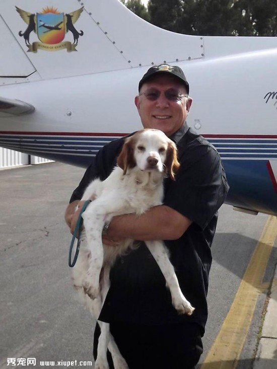 shelter-dog-airplane-transport-wings-of-rescue-yehuda-netanel-9