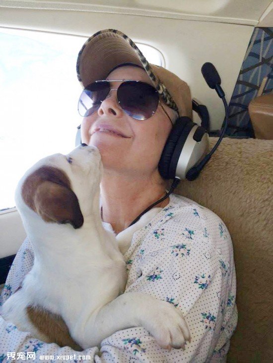 shelter-dog-airplane-transport-wings-of-rescue-yehuda-netanel-8