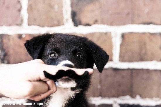 Movember-Big-1-copysmall__880