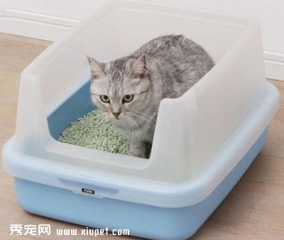 èɰ����Ĵ�ѧ�ʹ���èɰ�̵ķ���