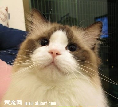 ������è������Ҫ֪����С֪ʶ