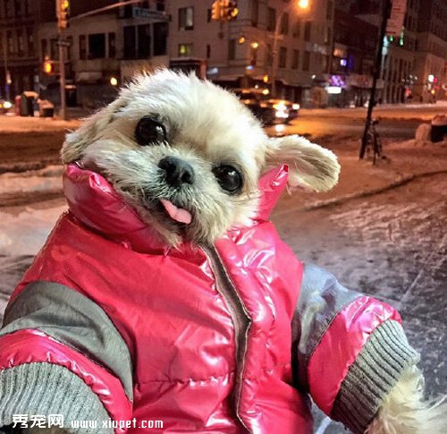 Marnie�����գ���������Ҳ�ʱ����²