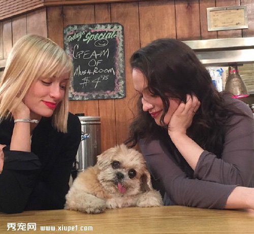 Marnie�����գ���������Ҳ�ʱ����²