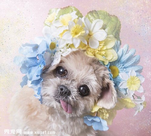 Marnie�����գ���������Ҳ�ʱ����²