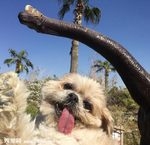 Marnie�����գ���������Ҳ�ʱ����²