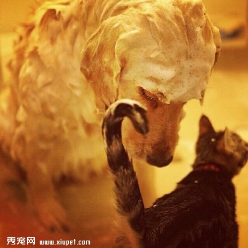 �������Ǿó�ʱ�����������èè����