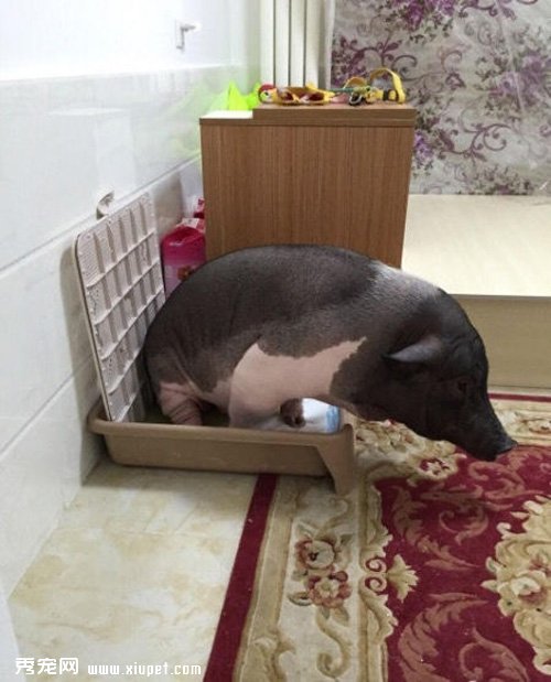 ����������170��ĸ����ͬ˯һ�Ŵ�