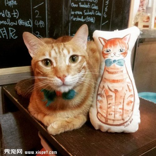 ��è�����ߵĳԻ���԰